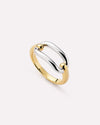 Gold/Silver