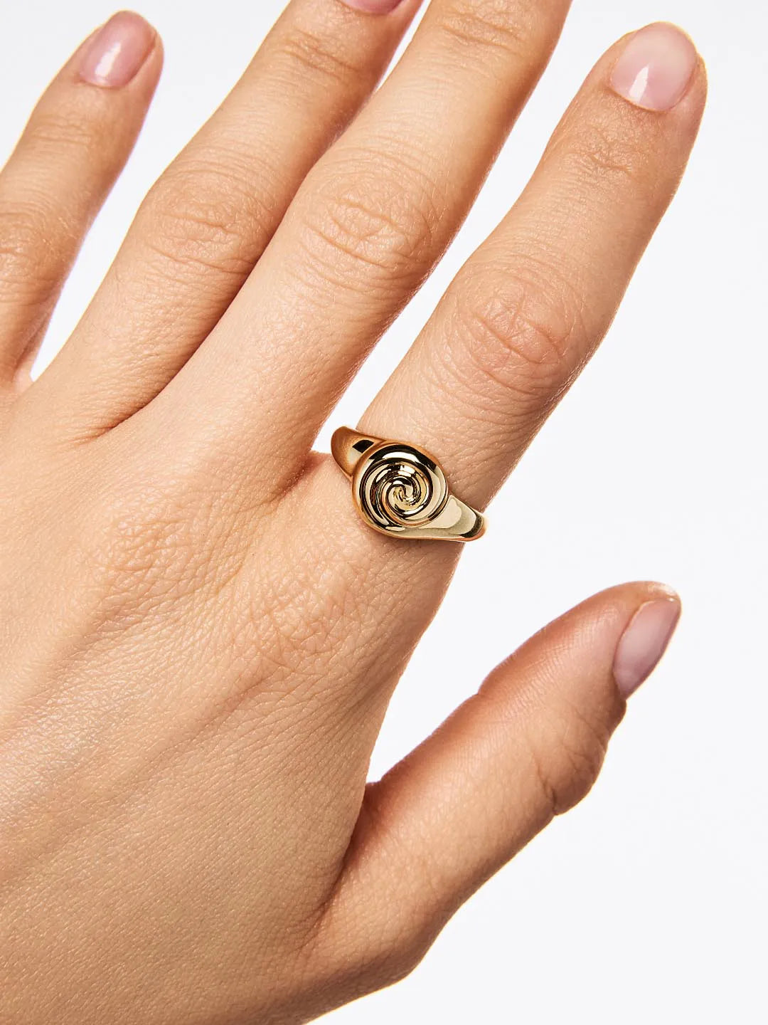 Gold Signet Ring - Ariel Ring